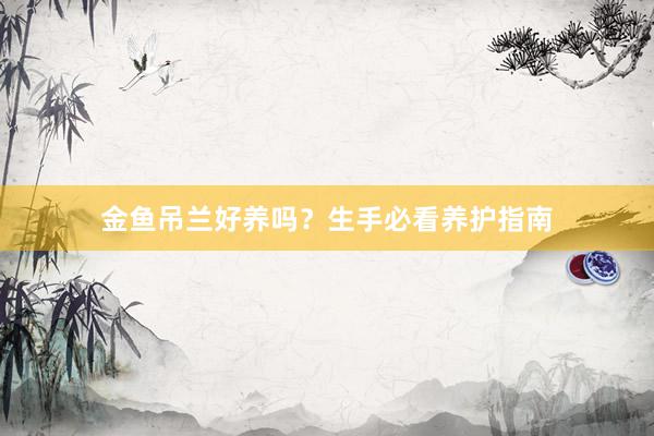 金鱼吊兰好养吗？生手必看养护指南